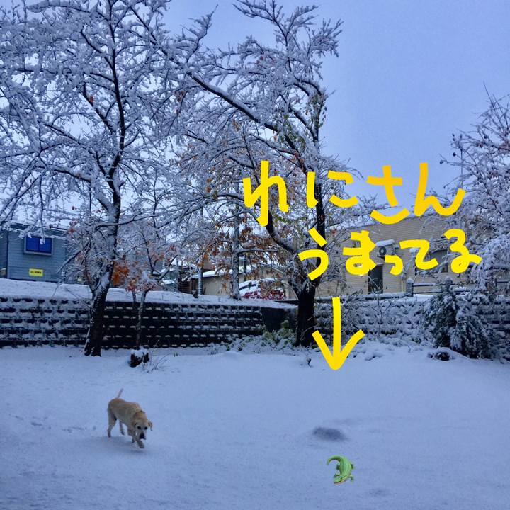 566b7edb 9224 43c2 ae0b bd93c1371386 1511183416709