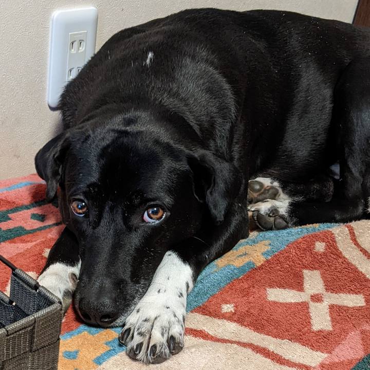 566bb7d1 8b1e 4eed bbbc 0c1141d0525a 1652006687563