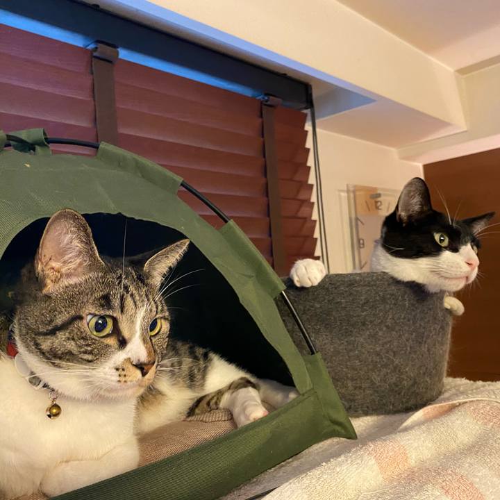 566bbd24 5c43 4532 ad4c 6b4fe275b519 1748146221185