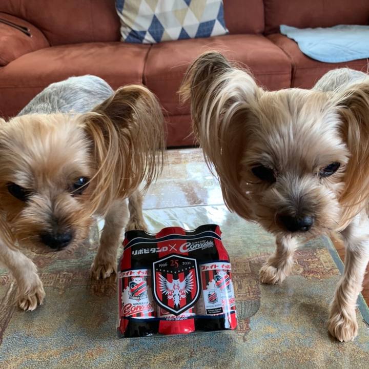 566bda3e 77f0 4b4b b915 d1a5ff057aea 1629538037429