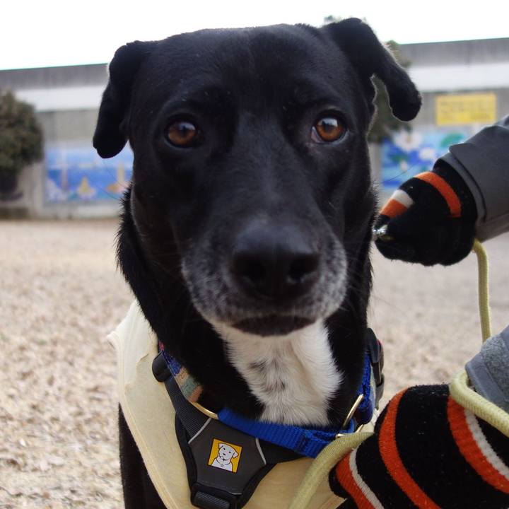 566bf736 7366 4e5c b203 9a6fbff6e9a4 1643849021384