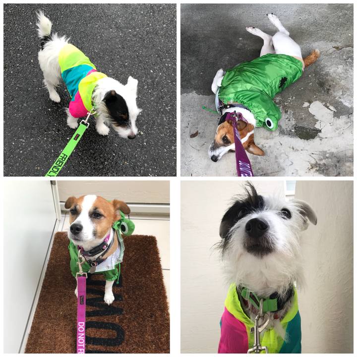 566c3684 d2a7 4af1 a0de a6872cb2a775 1508897222278