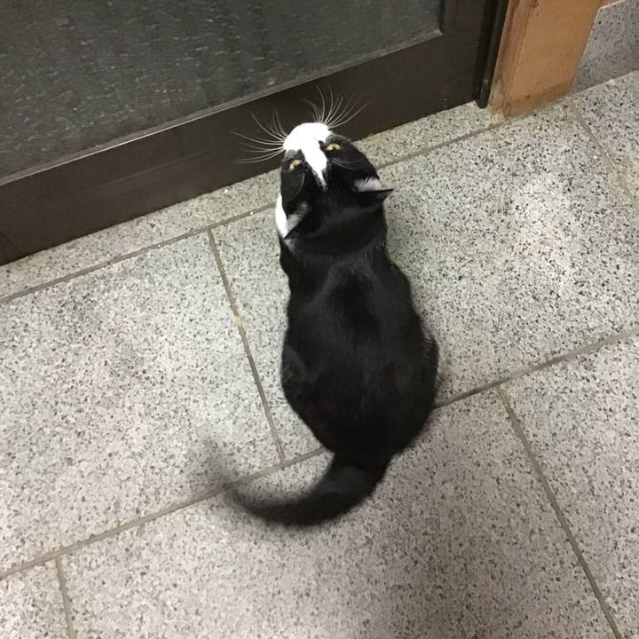 566c5249 4d1f 4ce0 a6f6 b5a8ea9fa3e6 1696244179427