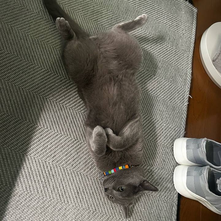 566c849f 9e61 40b3 935b 9b87920e26fe 1752043905252