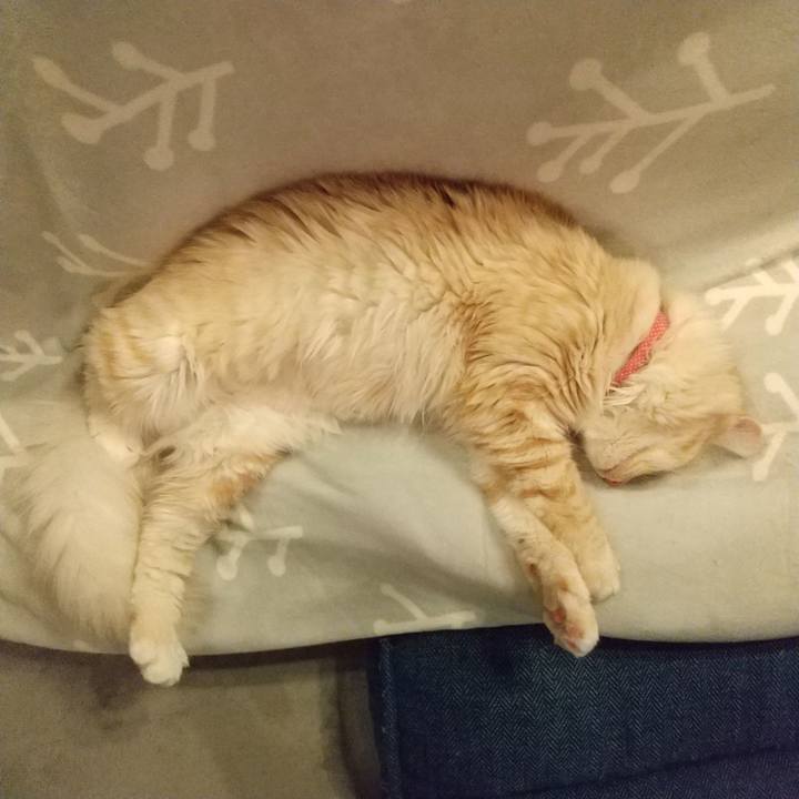 566cb686 dae1 47fa 842b a63a8db9da86 1618178159006