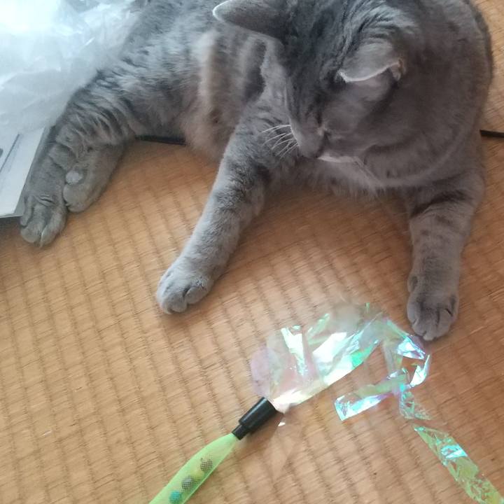 566cee8e 42a9 4a25 a2c9 8f7e84845c9d 1640234055526