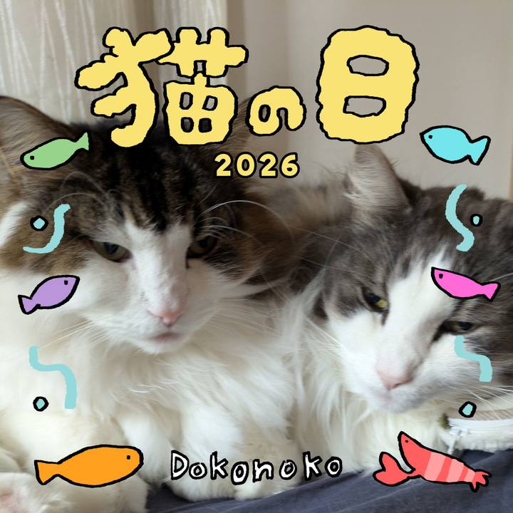 566cf51b 6bbf 4810 87e6 2ffb772d6893 1771712292784