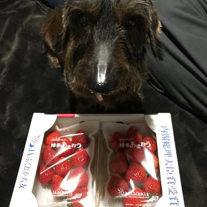 566d032e a14c 4590 aec9 ccabc29f48da 1520607206828