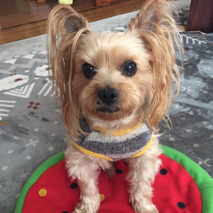 566d2507 6383 4eef aef1 f7682147addd 1521776277277