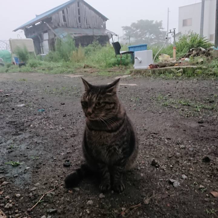 566d6927 8c13 4840 86ae 179d42298366 1661724118588