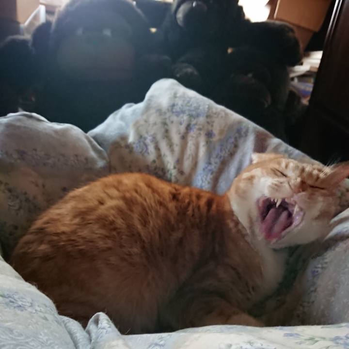 566d6bf7 b5bd 4bd4 a4dd 21557c145b2b 1582519162191