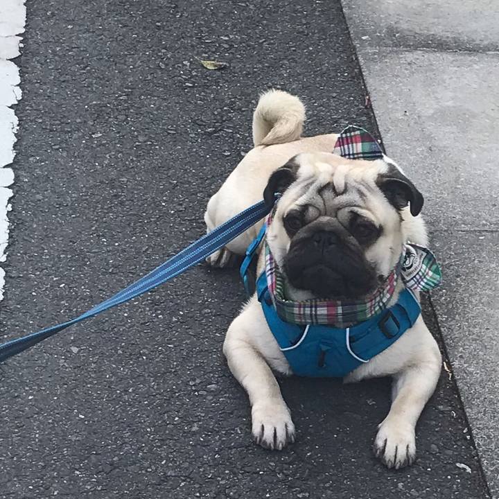 566d754b ec7a 4176 863b 82449a1509dd 1555738404272