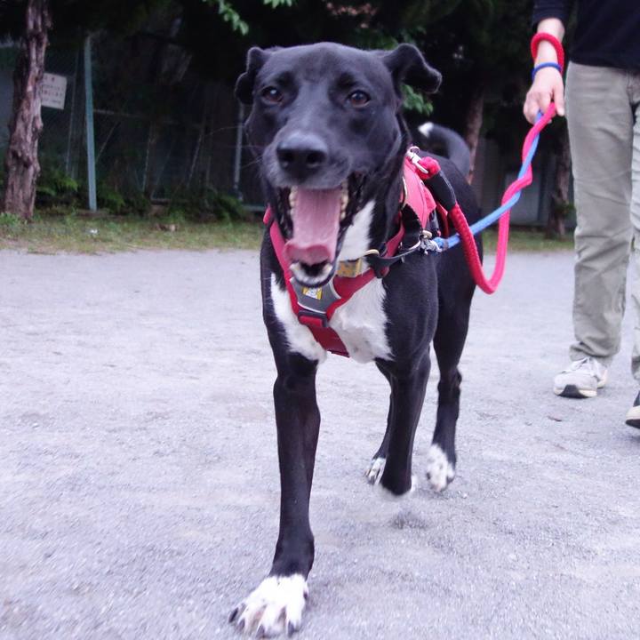 566d9545 a735 4e06 97f9 3e31c5aa500b 1588501300230