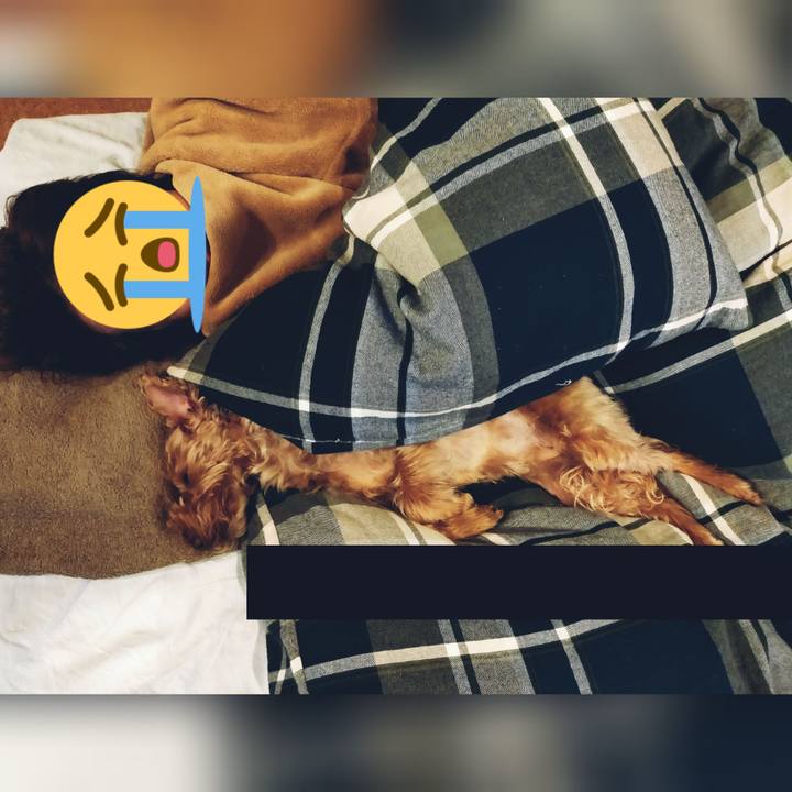 566db7a1 cd04 42b3 97b9 08adf487238e 1578703554506