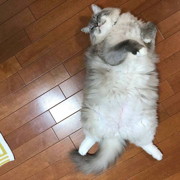 566dcad1 7d25 482c a09c c25535ac49da 1537744375128