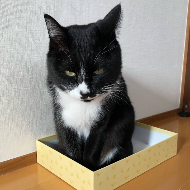 566df917 ab1d 4820 8422 6f84e108ab1a 1610343427379