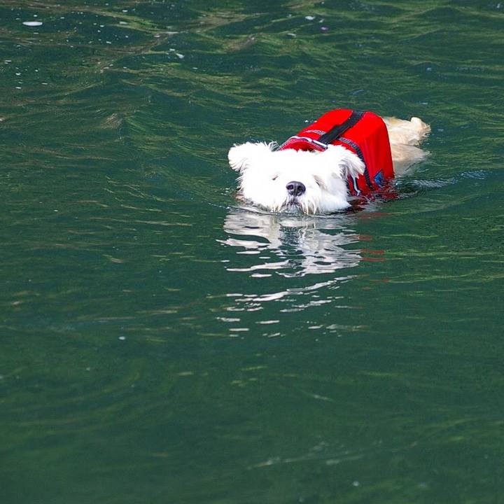 566dfee7 49dc 4683 96e9 a9ad88b955ff 1533372193847