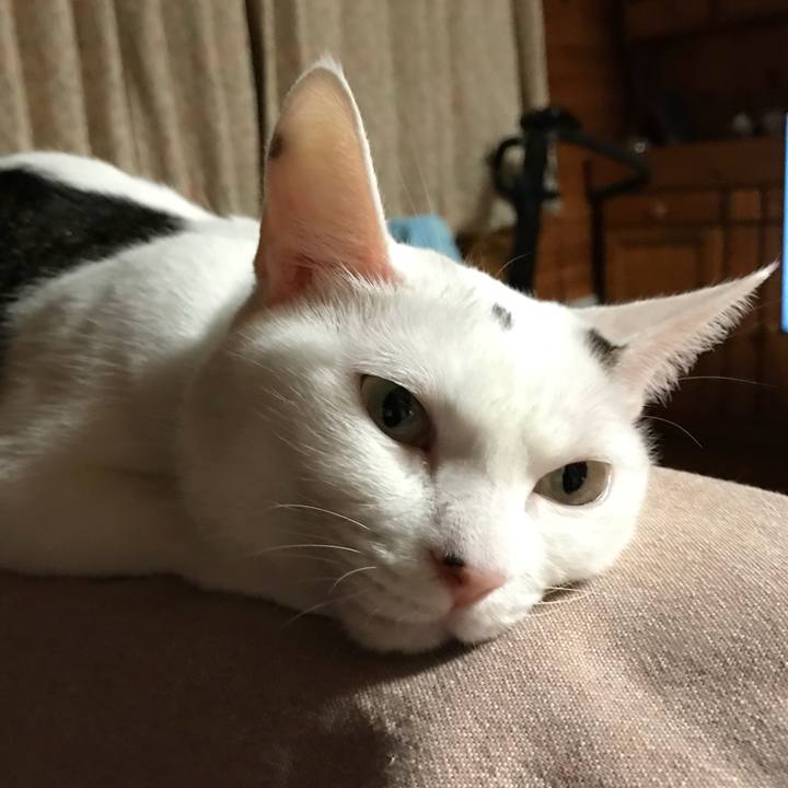 566e3373 ed5c 4e99 af26 02eeedbe3c25 1537705032430