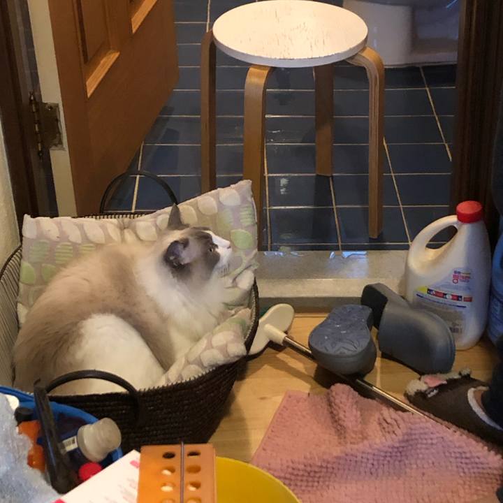 566e378b ba21 42af 9812 7a7e72c80e7c 1577607227045