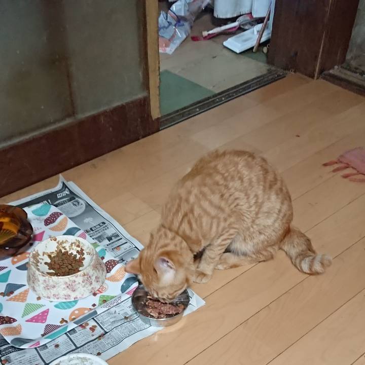 566e5a0b b4a7 4c42 aef9 dc9be5d4b45a 1651829093614