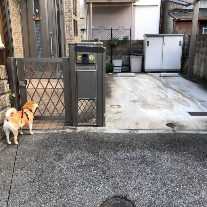 566e8b45 c734 42c9 94f6 c7fbfaa884ac 1572847269256