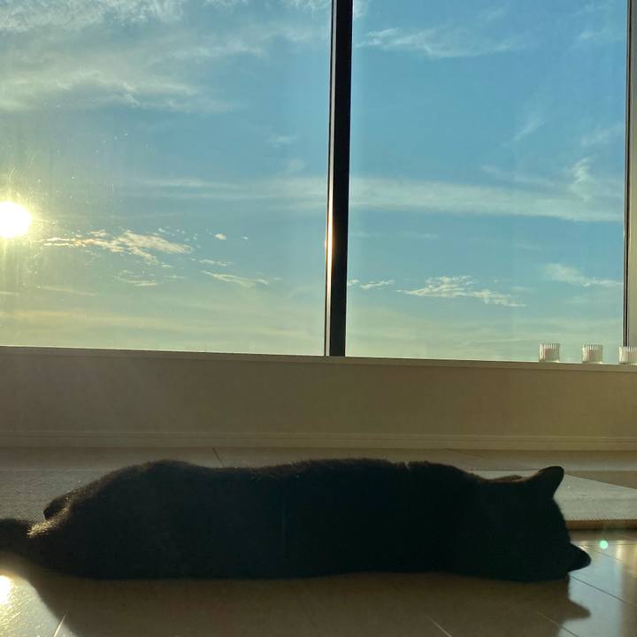 566e9b58 b51e 4878 b21b 7dd5aa44ae3b 1605765888285