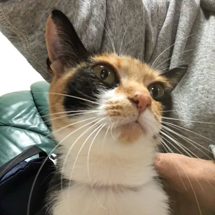 566ea413 1337 4a22 9f06 eba5f88b24a4 1558527489824