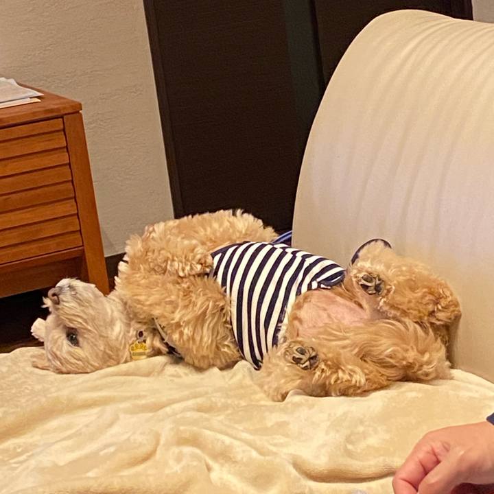 566eb8ad d8bc 4d18 8cb3 f602c2c9298b 1579133019321