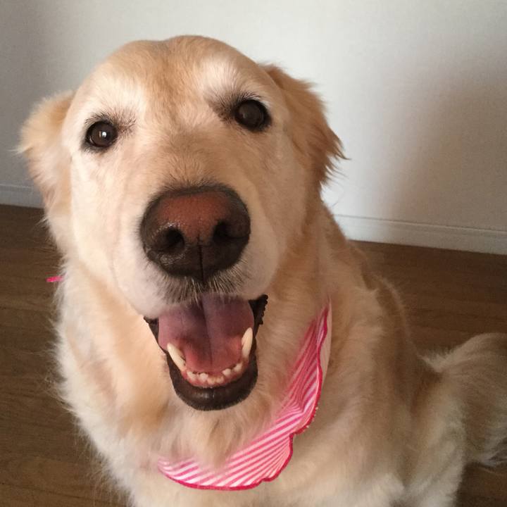 566ec266 c644 43e7 881f 0337860ef98e 1527846637431