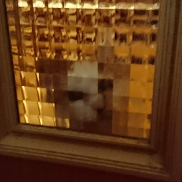 566ec279 f591 4122 aa5a 3636582af4dc 1695439002961