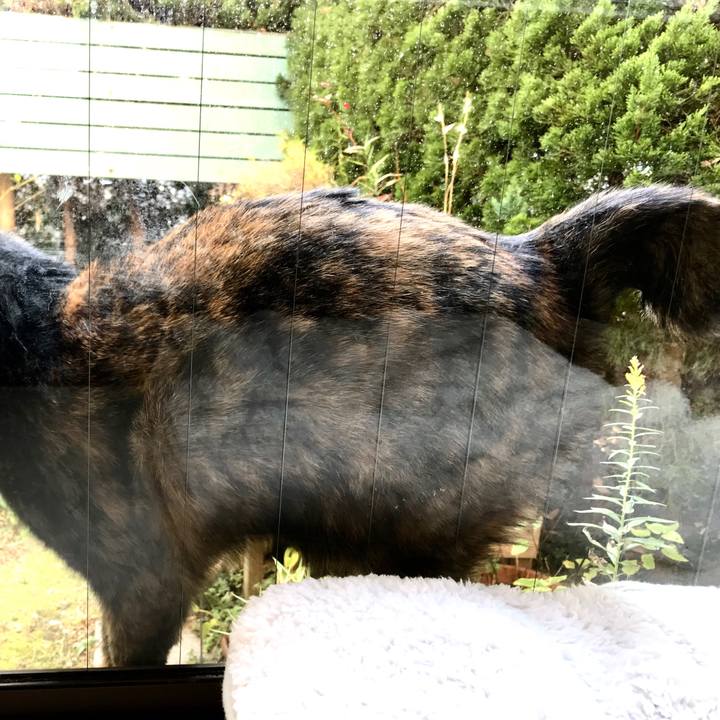 566ec619 2397 4927 bd61 0ab798442afe 1510979929927