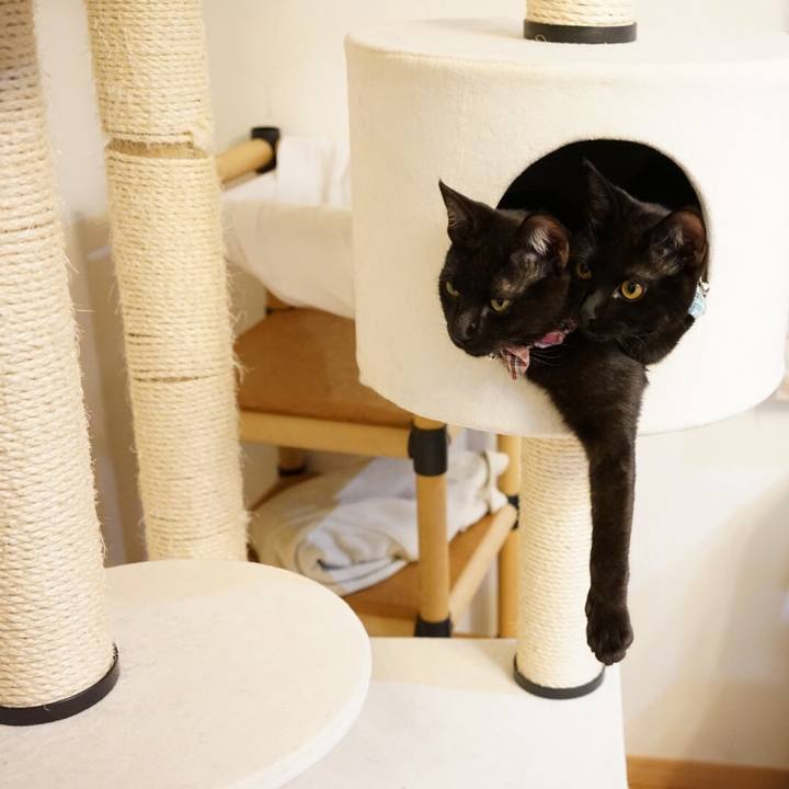 566ee3bc 9cf9 4231 825f 36c25b34b62e 1513431978383