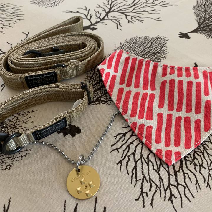 566ee950 99db 4e99 9baf ba9aff7cc646 1560655447371