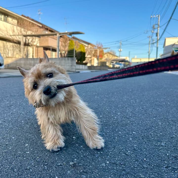 566f187e 4f4e 4ee8 ba67 4a018be8be77 1735865879757