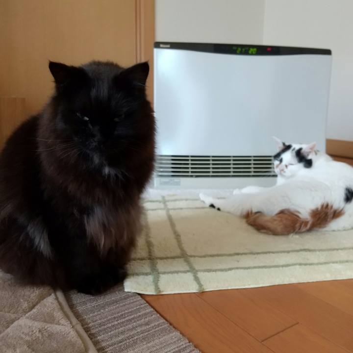 566f6b21 066c 4aa5 a58d d75df3056ac7 1651531968131