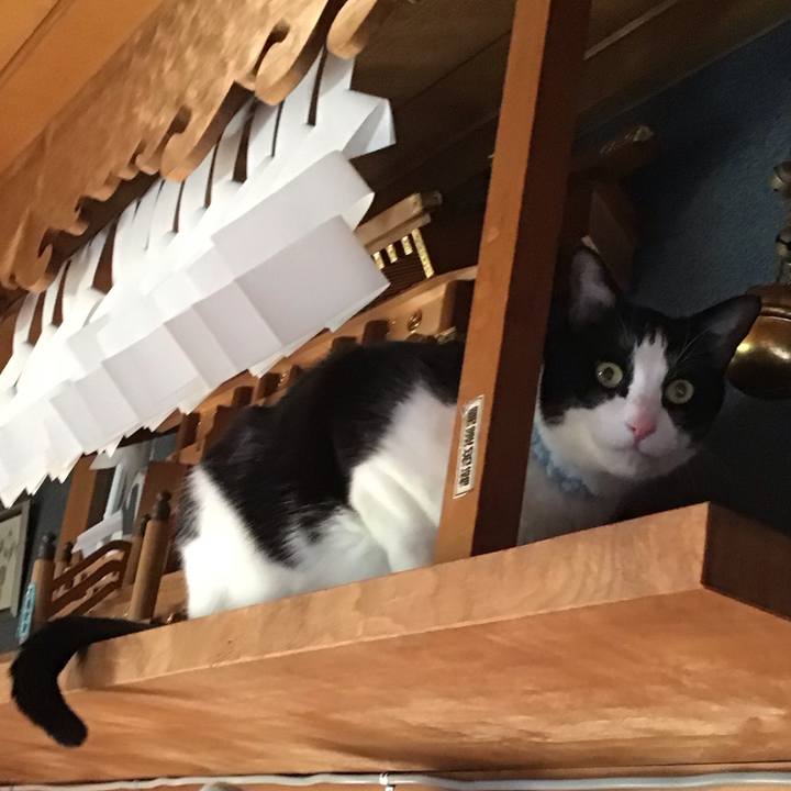 566fb80c 9753 45be a762 e9fa9c140e24 1737967779745