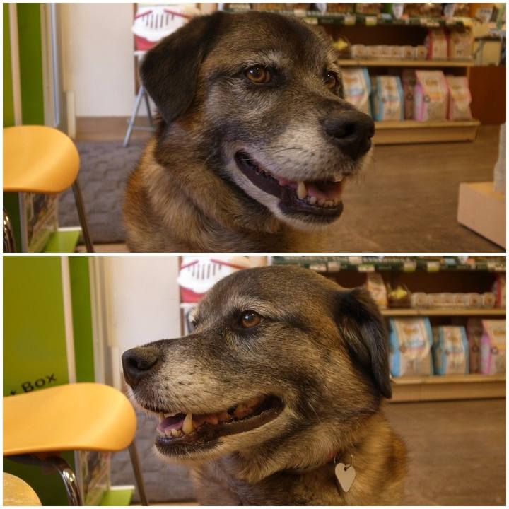 567029d6 cf71 421a bcee d7f0981bfe21 1585656823766