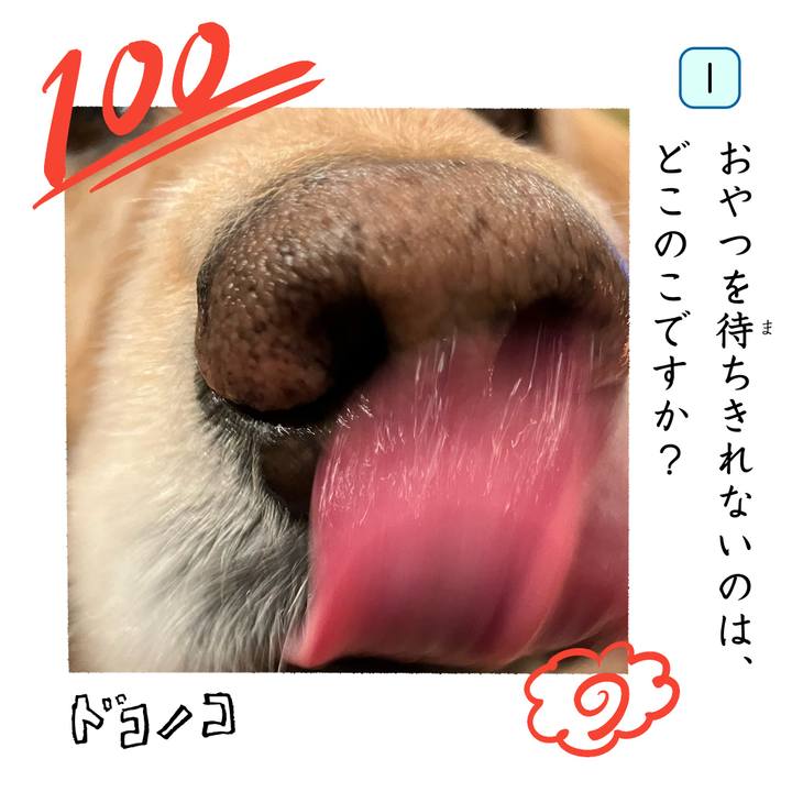 56706ce7 fc9c 4095 b127 8ed53edeba3f 1744443489095