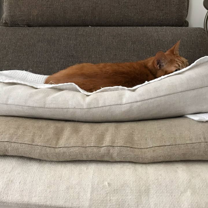 56707617 1cd9 49cf abdc 5ee40859fb85 1562294391129