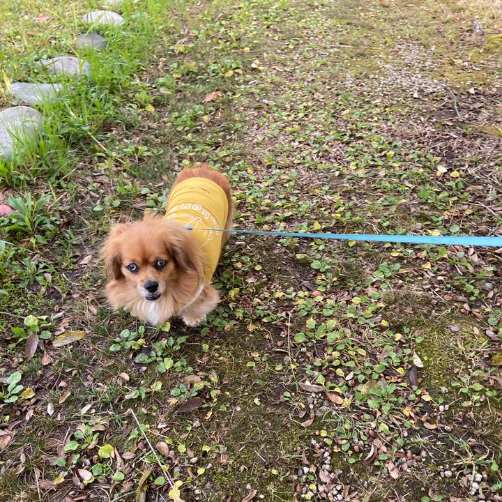 56708048 2106 4c04 9a57 aadb413b9339 1639270863902