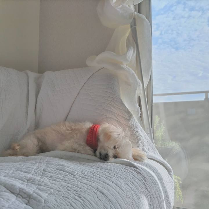 56708e0d fe88 4831 bc70 4d23a1eecf5f 1697261894649