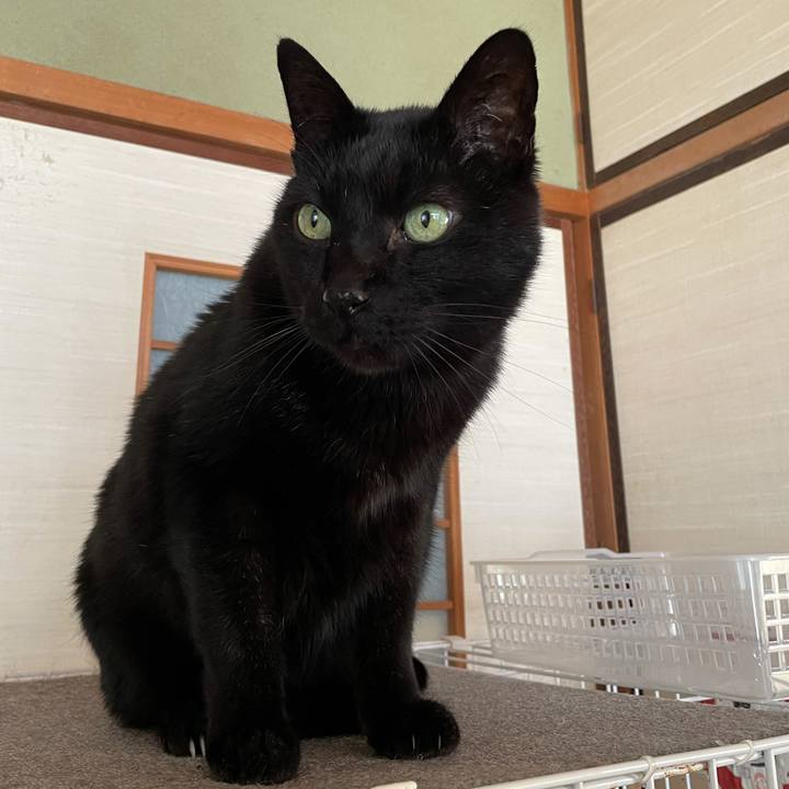 5670910c 5163 4d13 b2f7 a8922cb74fc5 1617068119598