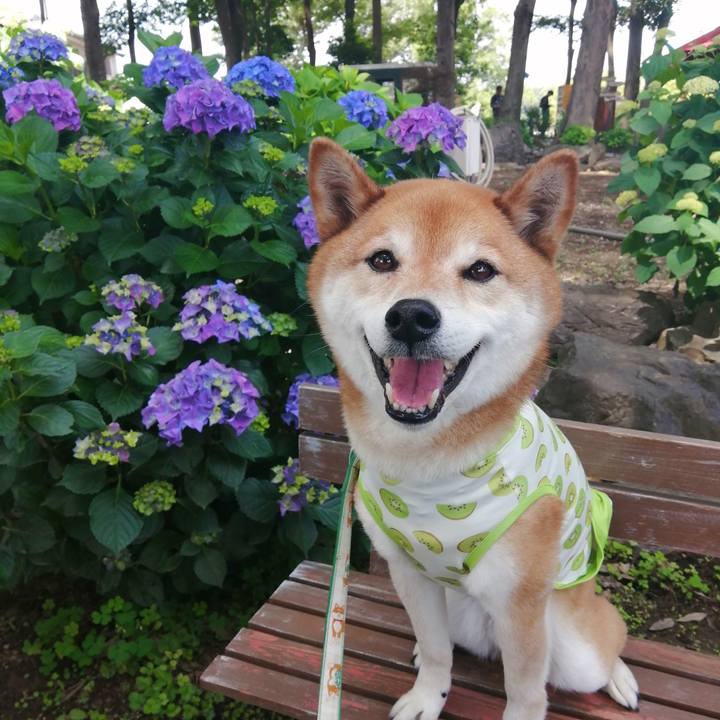 56709f51 0603 4ce3 aa32 d496bba5686b 1685199352455