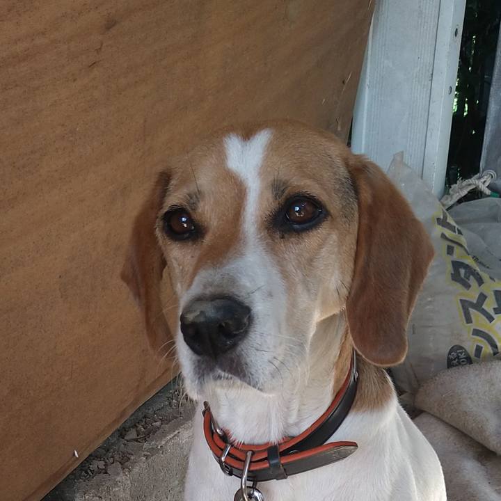 5670eb48 7c5f 4196 b057 db47f8acbe67 1627648162569