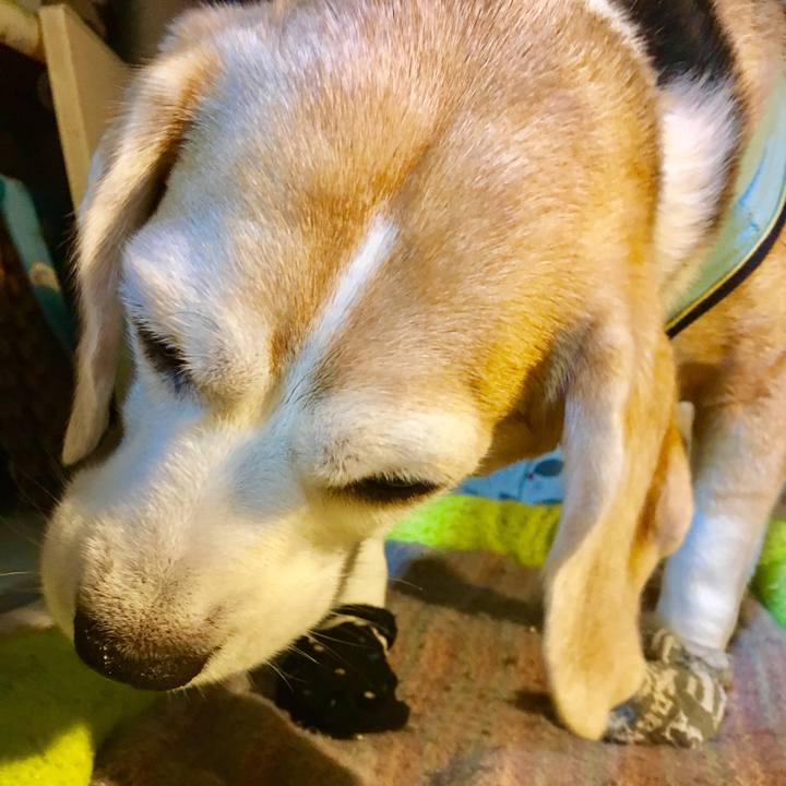 56711f13 dccf 4d1e 8d1e a89cd5692a27 1564930584735