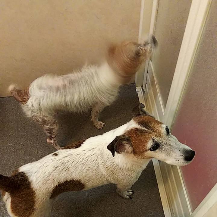 56715ff6 3fef 47a8 b485 ecb40d06b4f5 1538292331757