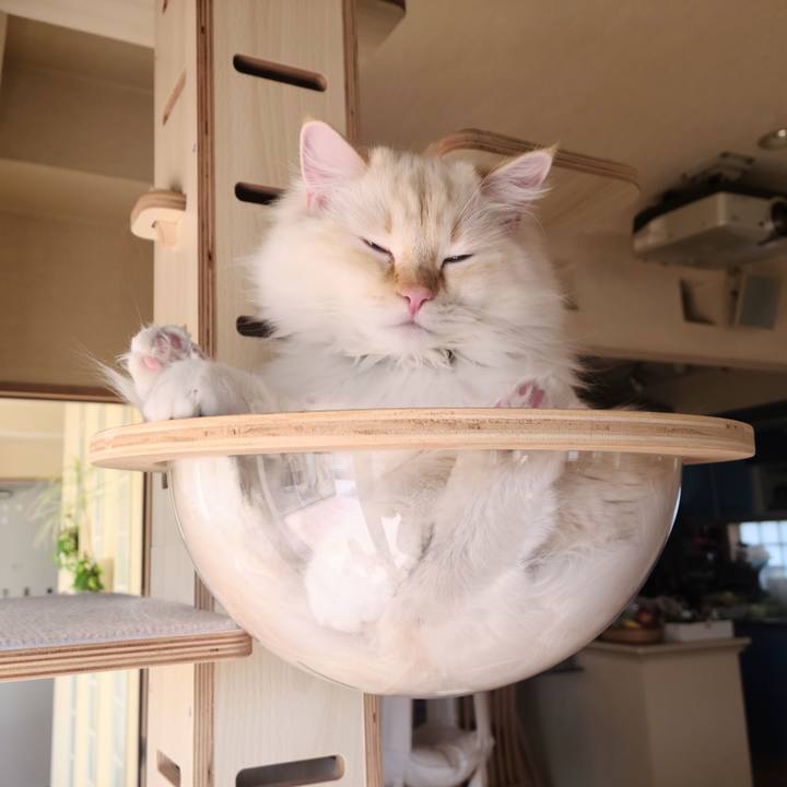 56716d77 0e05 4b66 b966 6077987e9309 1678938438207