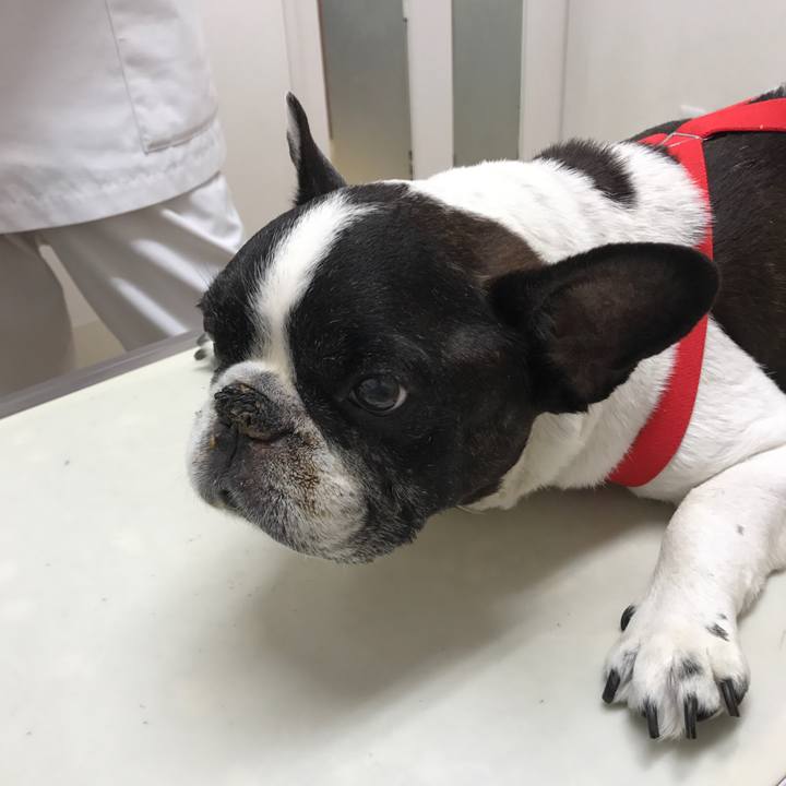 5671764a acc7 4a8a 829f f37859181cb9 1516081369070