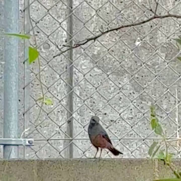 56717fbb c6df 4740 9494 5b8b6828ca46 1761531659272