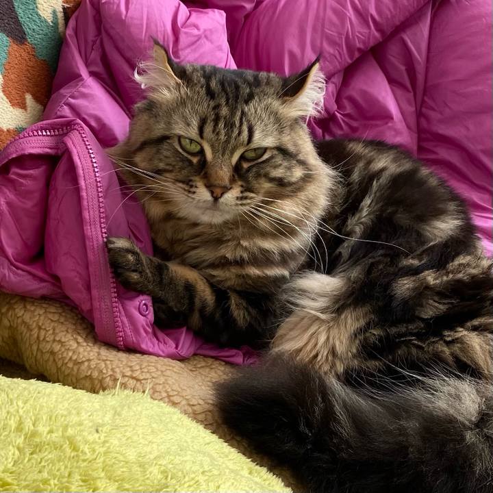 5671c2dd 7293 4706 b196 c5132491d533 1617460294437